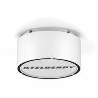 Громкоговоритель Stelberry F-310W