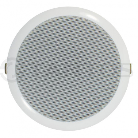 Громкоговоритель TSo-PW10a